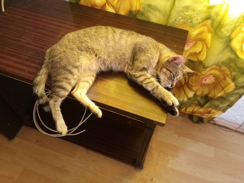 zoza1958 uploaded   5 year/s ago