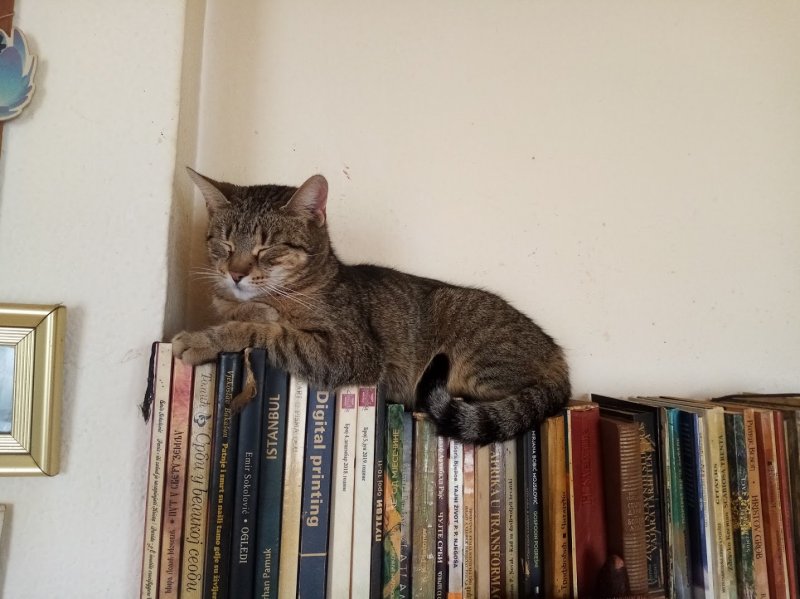 zoza1958 uploaded   5 year/s ago