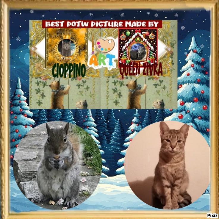 Queen  Zivka of the zoza1958 family