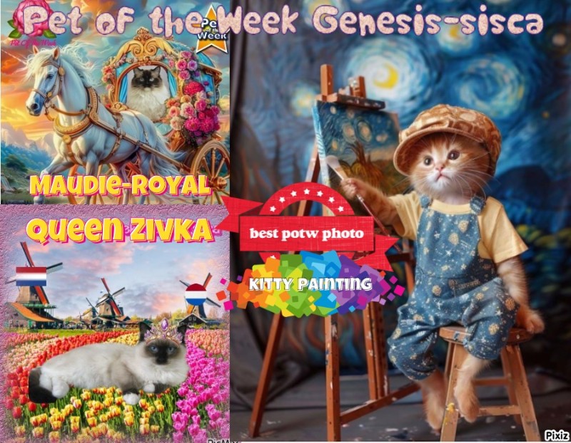 zoza1958 uploaded   1  day/s  ago