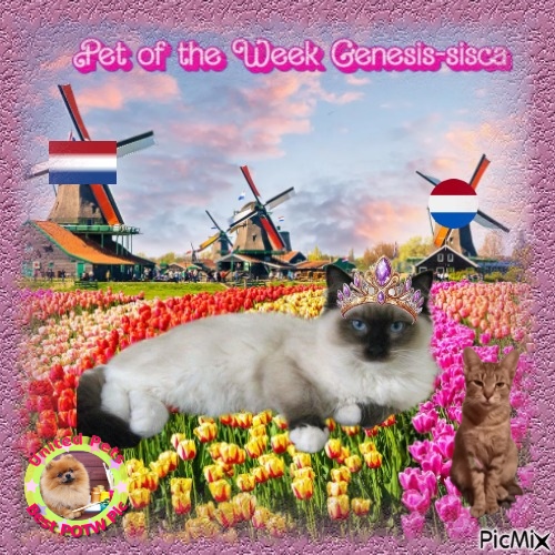 zoza1958 uploaded   1  day/s  ago