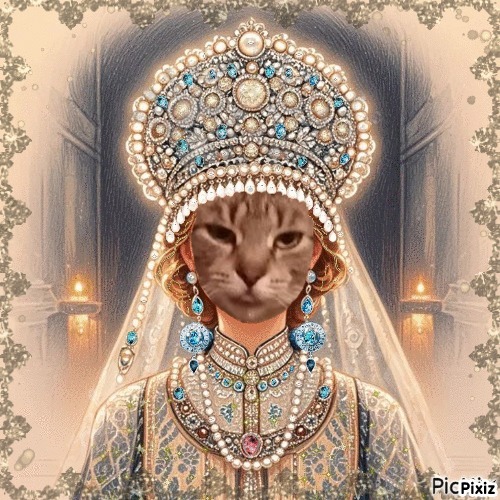 zoza1958 uploaded   19  day/s  ago