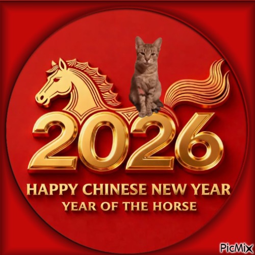 Queen  Zivka of the zoza1958 family