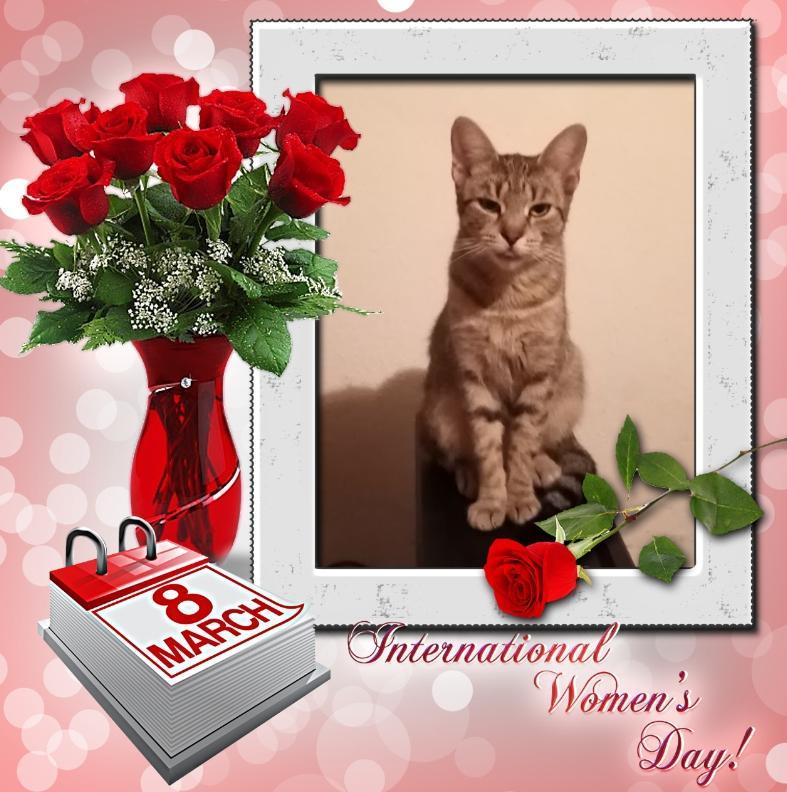 zoza1958 uploaded   46  day/s  ago