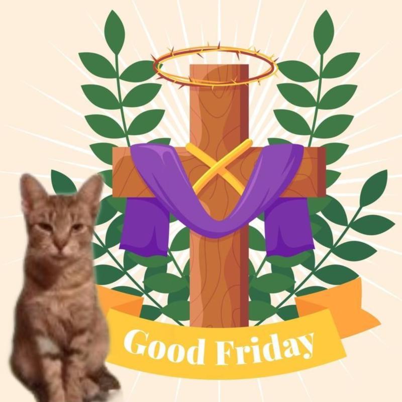 zoza1958 uploaded   1  day/s  ago