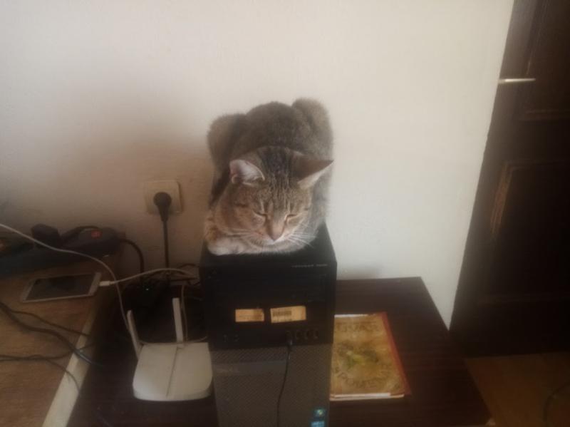 zoza1958 uploaded   185  day/s  ago