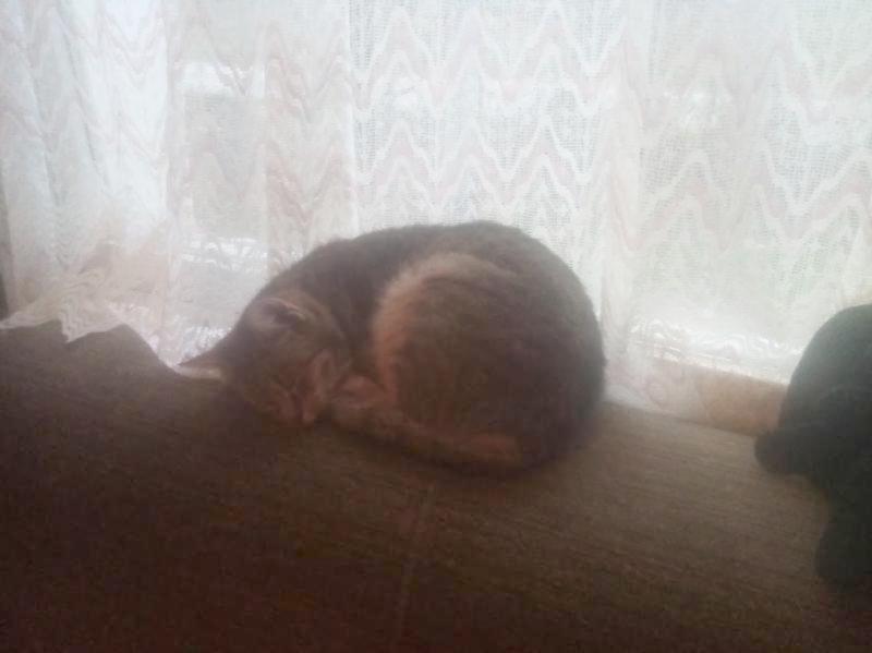 zoza1958 uploaded   150  day/s  ago