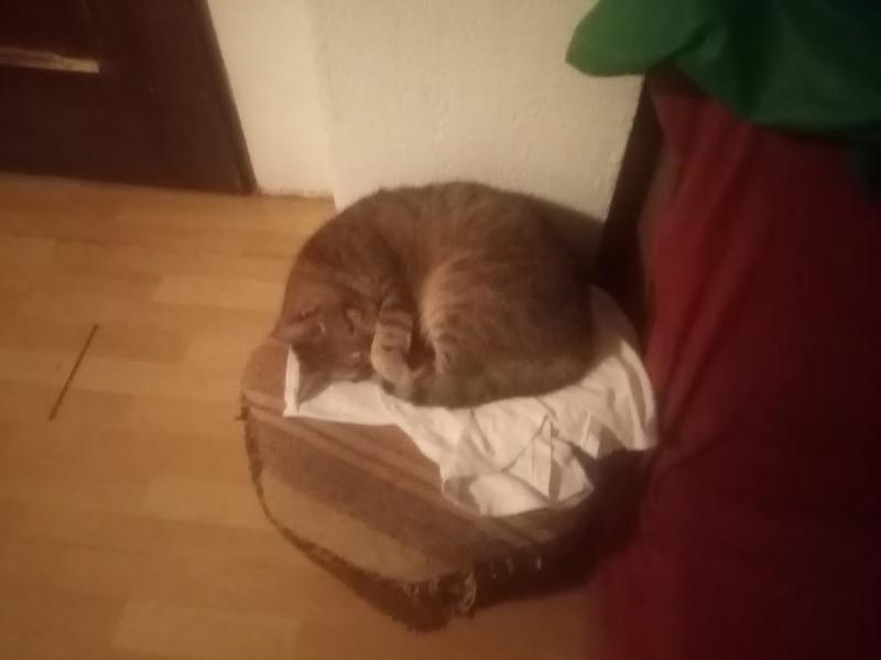 zoza1958 uploaded   1 year/s ago