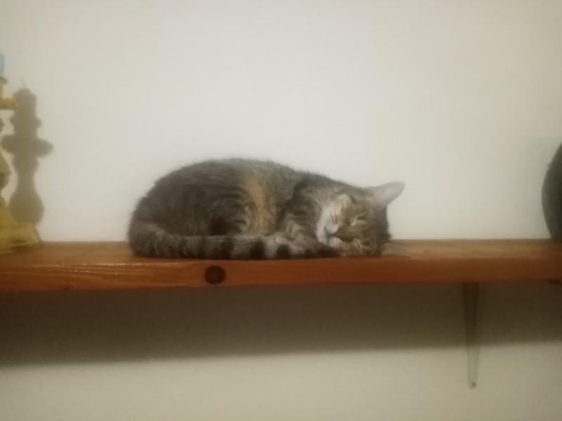 zoza1958 uploaded   100  day/s  ago