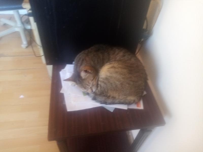 zoza1958 uploaded   17  day/s  ago