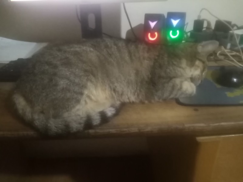 zoza1958 uploaded   121  day/s  ago