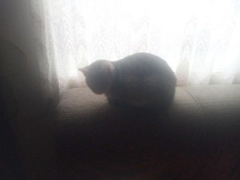 zoza1958 uploaded   143  day/s  ago