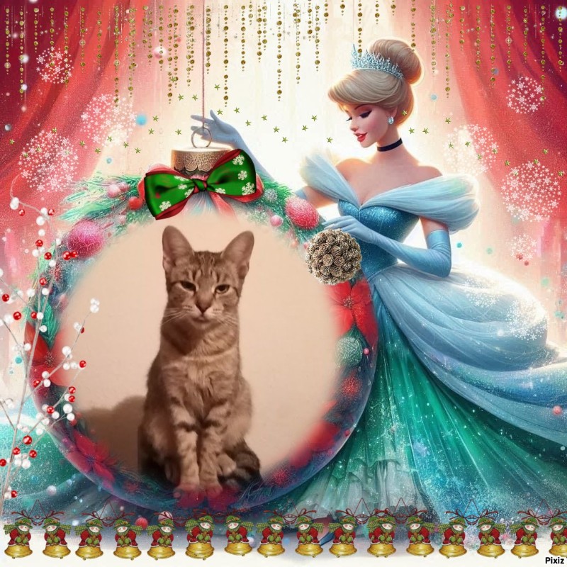 Queen  Zivka of the zoza1958 family