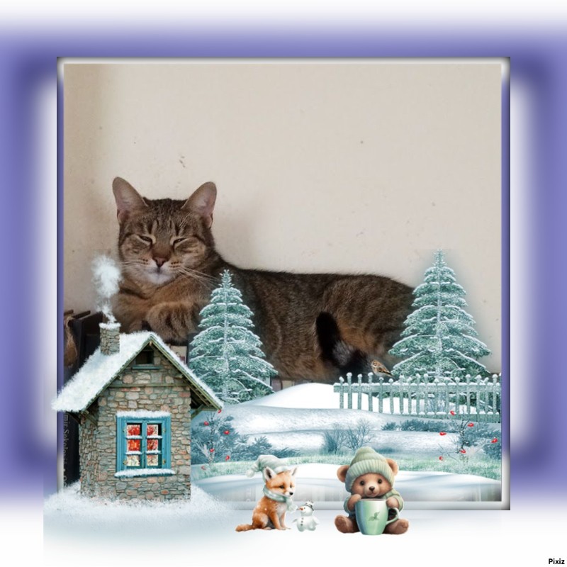 Queen  Zivka of the zoza1958 family