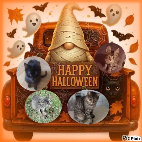 Princess Susi of the zoza1958 family