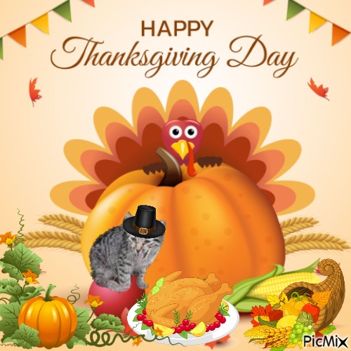 Princess Susi of the zoza1958 family