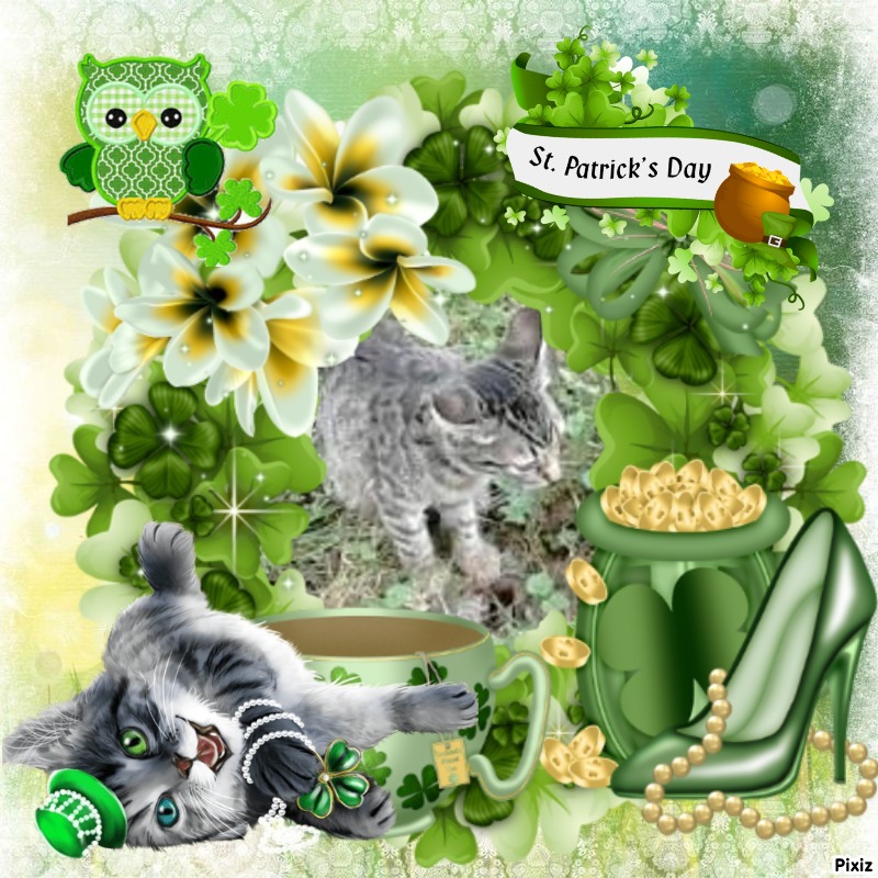 Princess Susi of the zoza1958 family