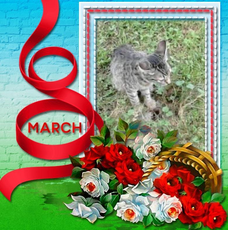 zoza1958 uploaded   46  day/s  ago