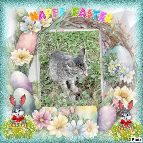 zoza1958 uploaded   6  day/s  ago