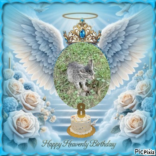 zoza1958 uploaded   44  day/s  ago