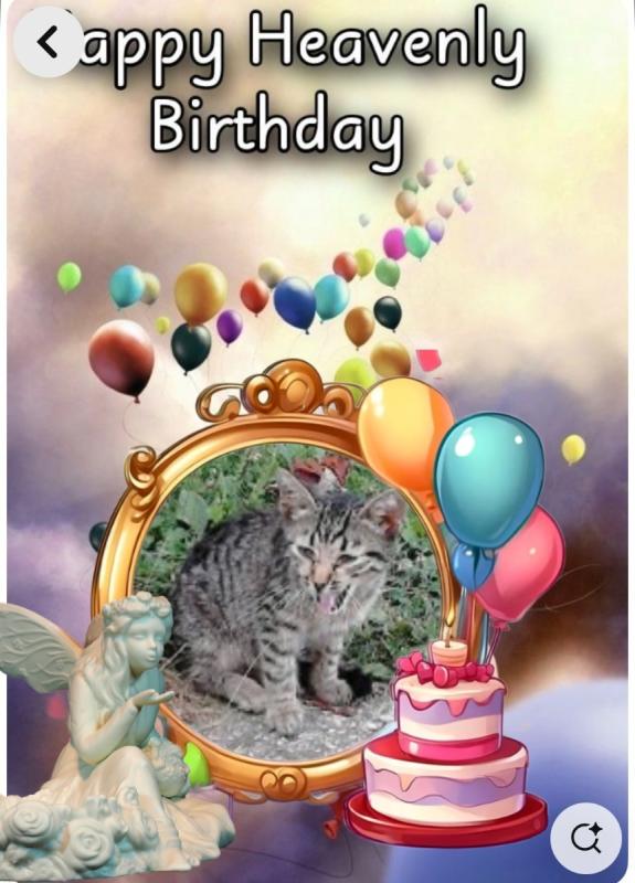 zoza1958 uploaded   31  day/s  ago