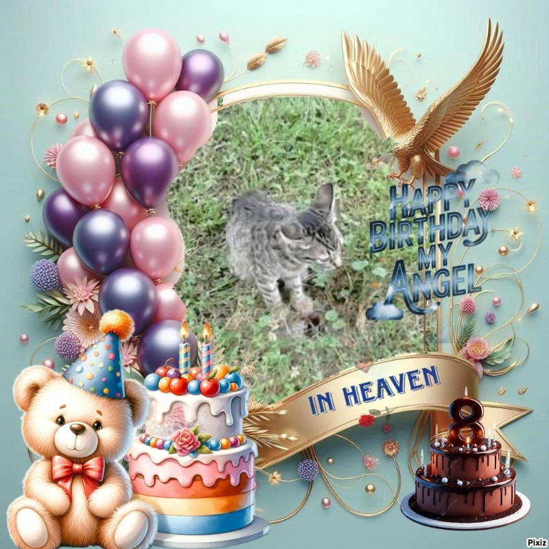 Princess Susi of the zoza1958 family