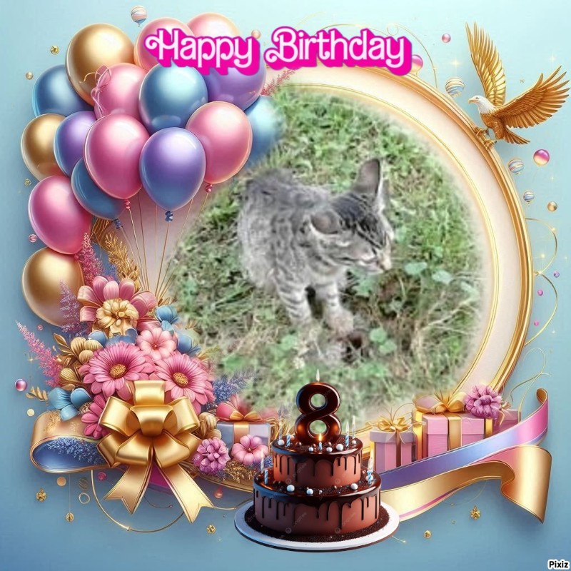 zoza1958 uploaded   43  day/s  ago