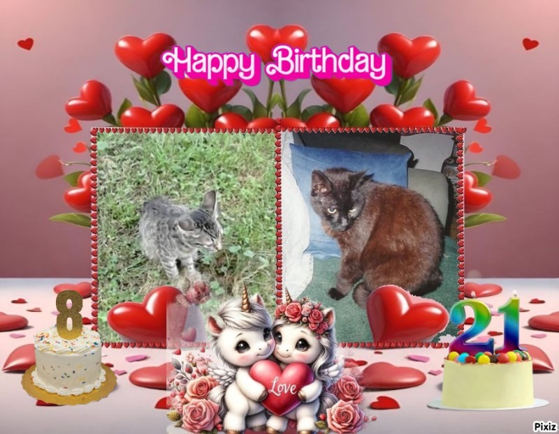 zoza1958 uploaded   43  day/s  ago