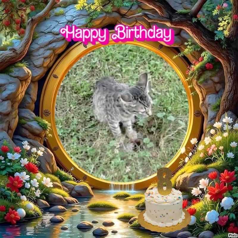 zoza1958 uploaded   43  day/s  ago