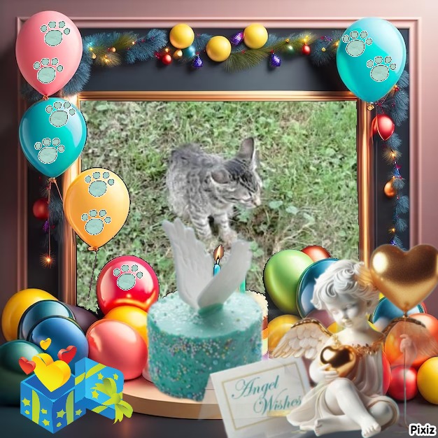 Princess Susi of the zoza1958 family