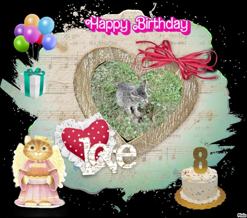 zoza1958 uploaded   43  day/s  ago