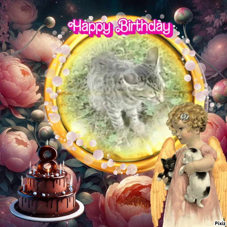 zoza1958 uploaded   43  day/s  ago