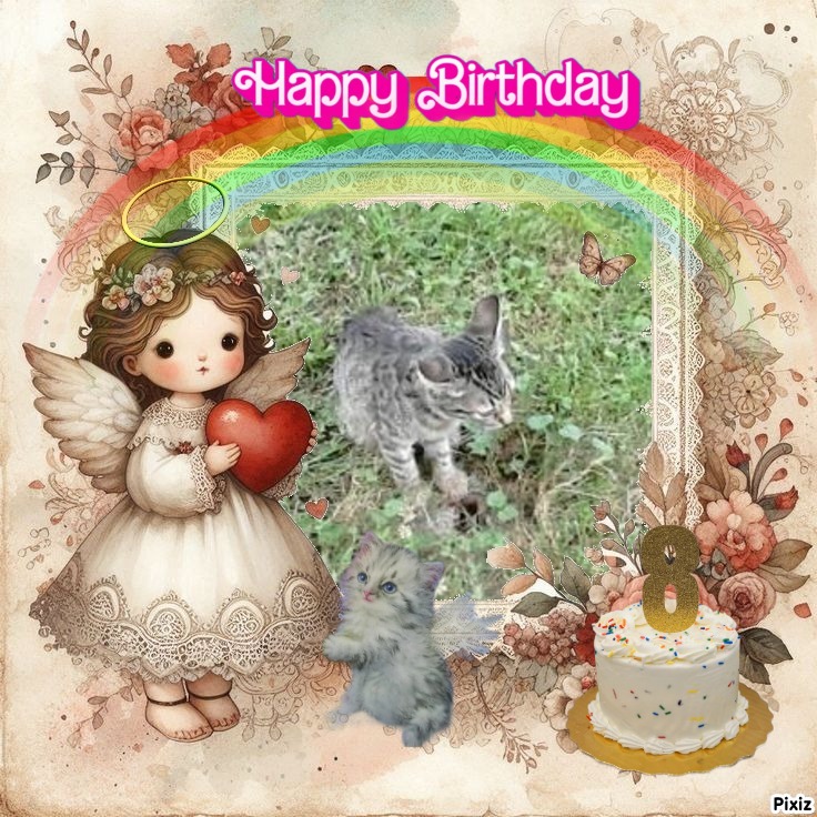 zoza1958 uploaded   43  day/s  ago