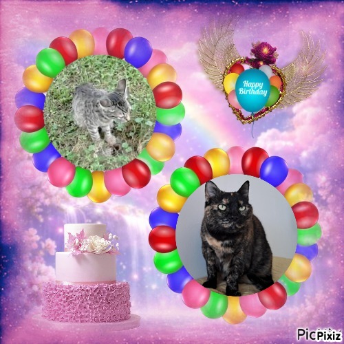 zoza1958 uploaded   43  day/s  ago