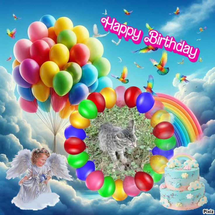 zoza1958 uploaded   43  day/s  ago