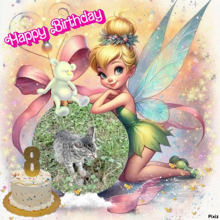 zoza1958 uploaded   43  day/s  ago