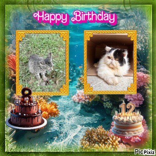 zoza1958 uploaded   43  day/s  ago