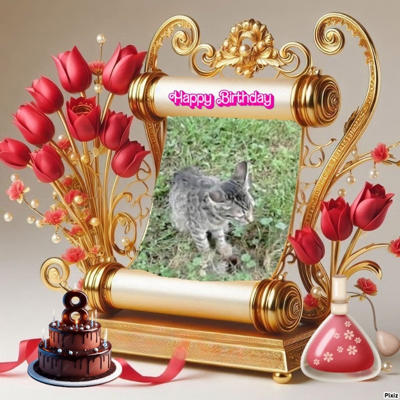 Princess Susi of the zoza1958 family