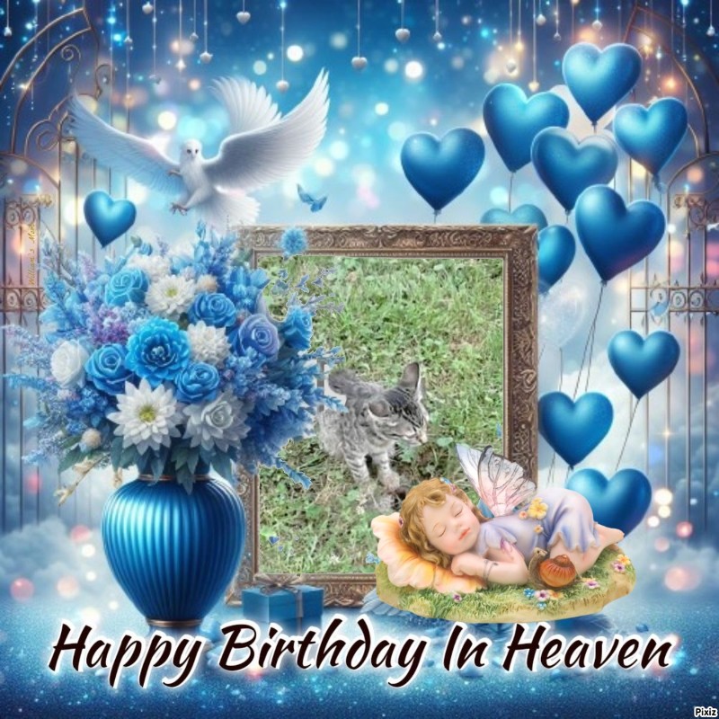 zoza1958 uploaded   31  day/s  ago