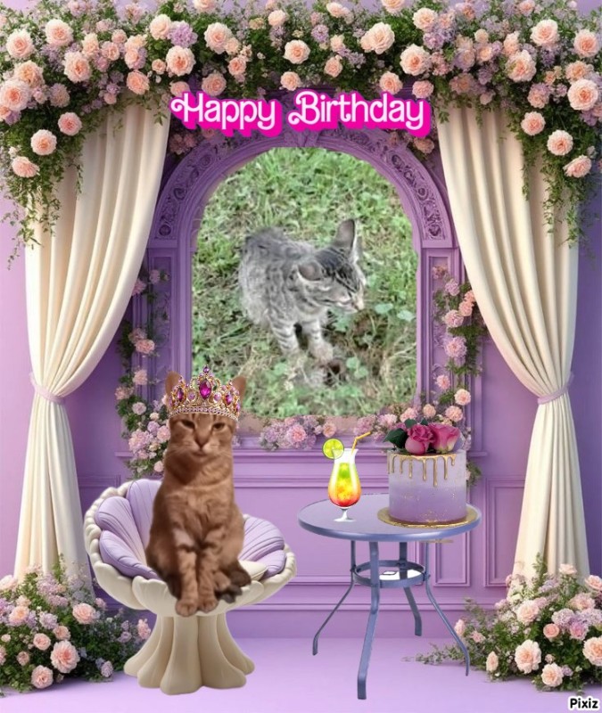 zoza1958 uploaded   43  day/s  ago