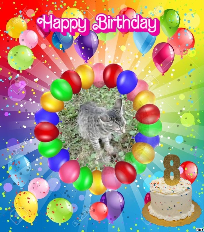 zoza1958 uploaded   43  day/s  ago