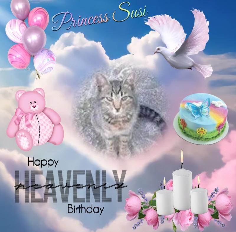 zoza1958 uploaded   43  day/s  ago