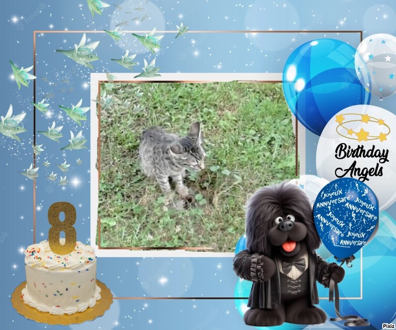 Princess Susi of the zoza1958 family