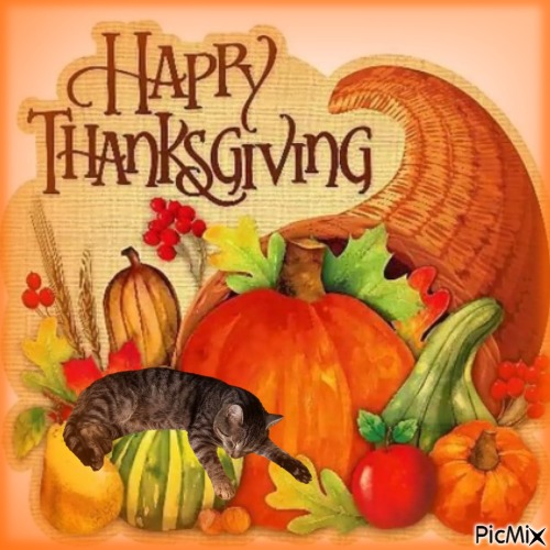 Prince Snoopy of the zoza1958 family