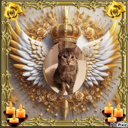 Prince Snoopy of the zoza1958 family