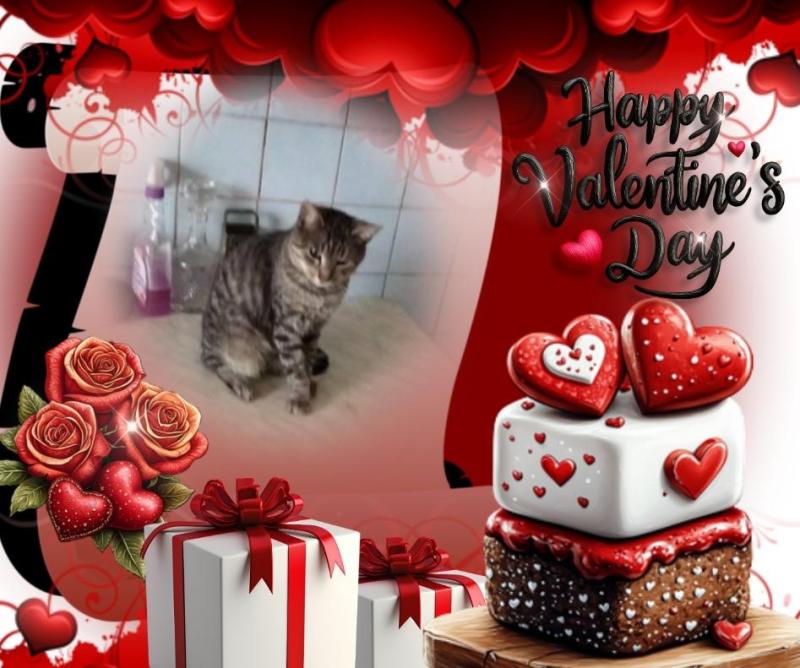 Prince Snoopy of the zoza1958 family