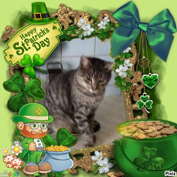 Prince Snoopy of the zoza1958 family