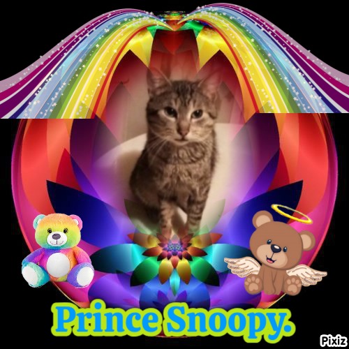 Prince Snoopy of the zoza1958 family