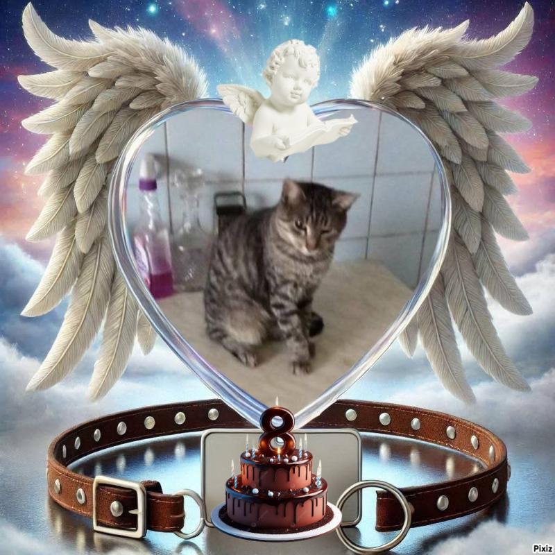 Prince Snoopy of the zoza1958 family