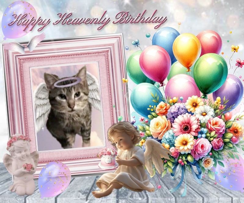 zoza1958 uploaded   35  day/s  ago